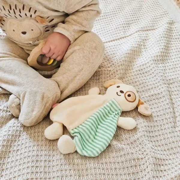 Comfort Toy Dog peluche and teether