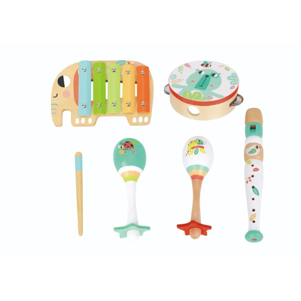 Music Instrument Set